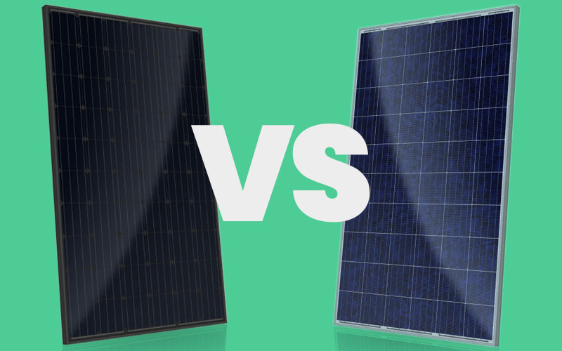 Black or blue solar panels: Which is better for you?(图1)